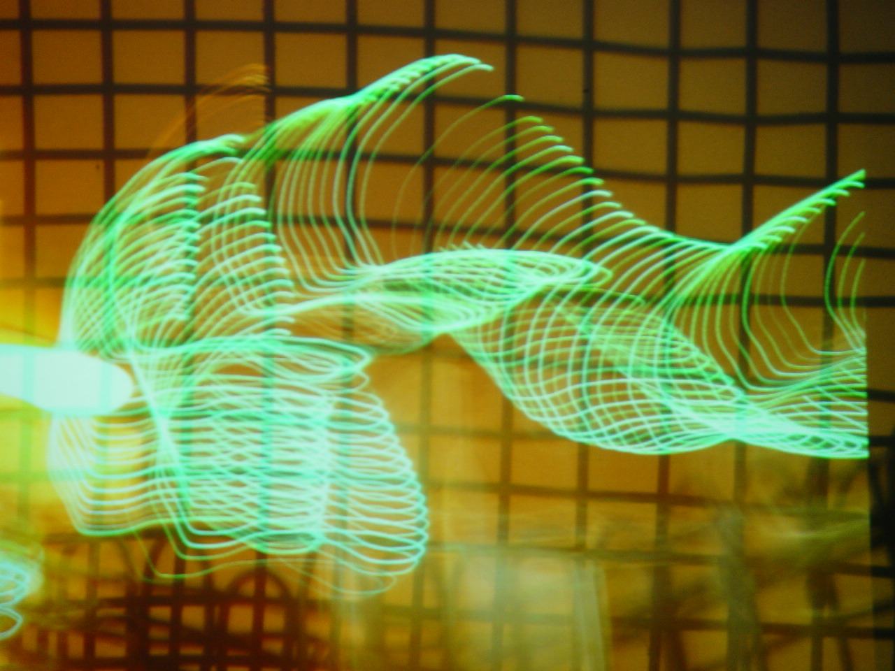 "Speed of light | Photography"